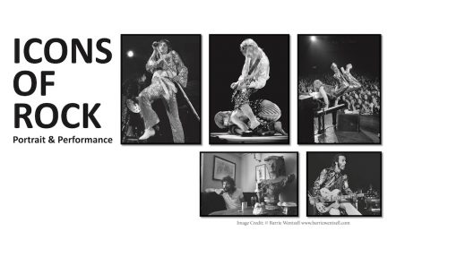 Icons of Rock - Portrait & Performance
